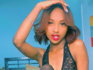 Model Image