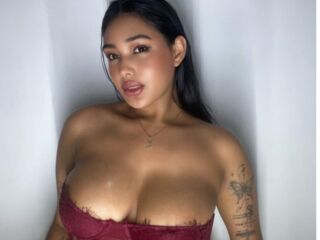 Model Image