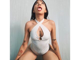 Model Image