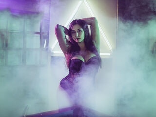 Model Image
