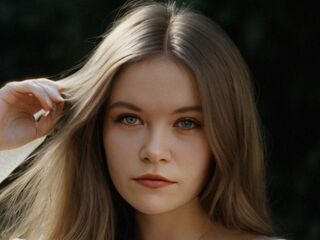 Model Image